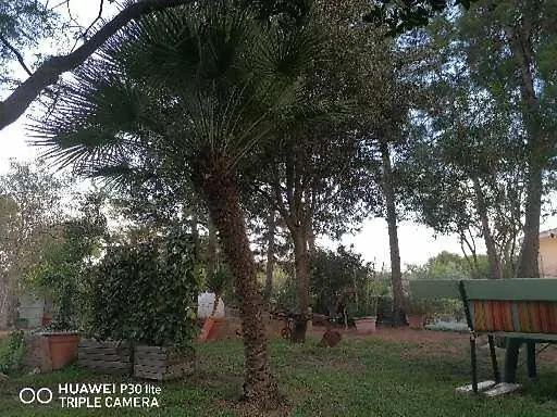 Su Matutzu Bed & Breakfast San Giovanni Suergiu